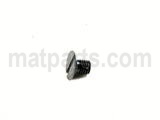 SS1080510SP SCREW